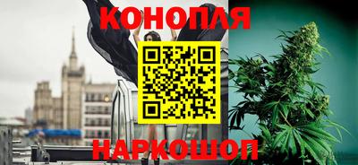 крисы Заводоуковск