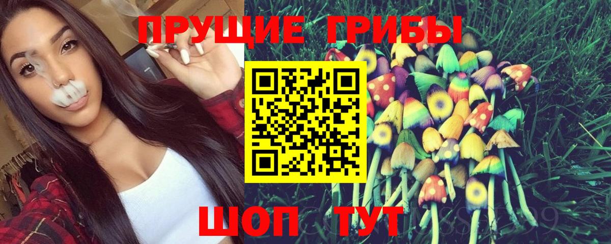 Надым  Псилоцибиновые грибы Psilocybe  Вход с VPN 