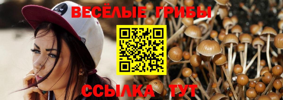 Псилоцибиновые грибы мицелий Надым